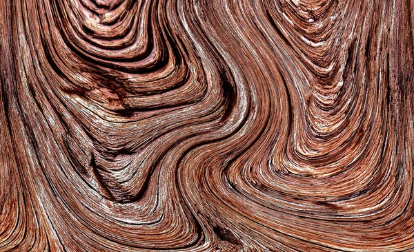 Beautiful wood grain. Wood background. Wood grain pattern texture background