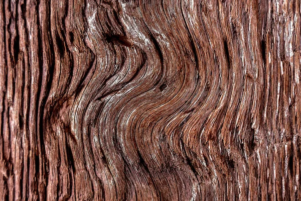 Beautiful wood grain. Wood background. Wood grain pattern texture background