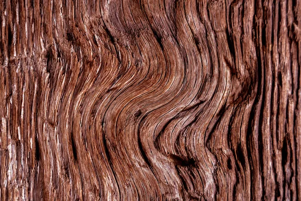 Beautiful wood grain. Wood background. Wood grain pattern texture background