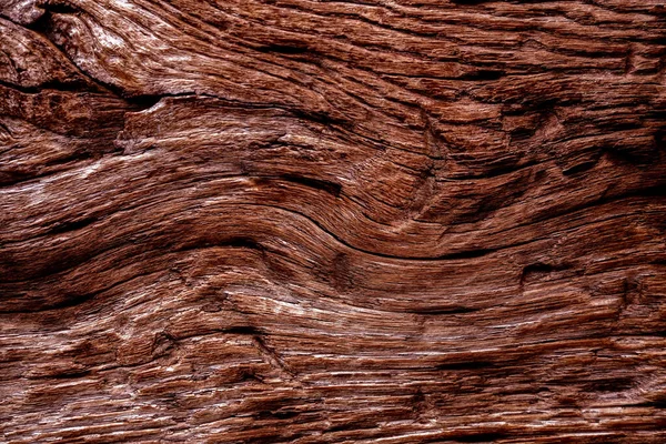 Beautiful wood grain. Wood background. Wood grain pattern texture background