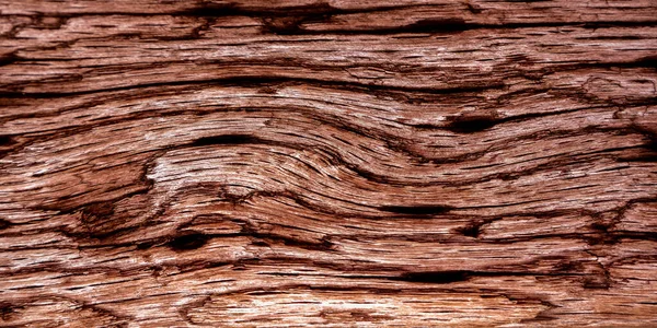 Beautiful wood grain. Wood background. Wood grain pattern texture background