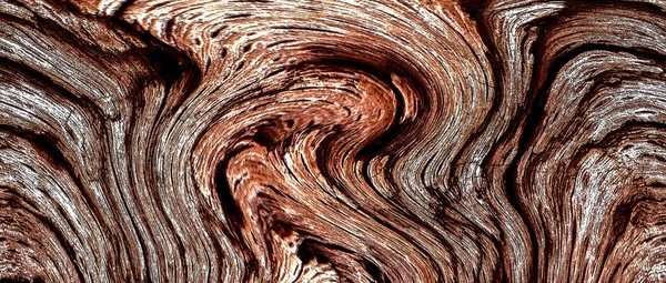 Güzel ahşap tahıl. Ahşap arka. Tahta desenli arkaplan