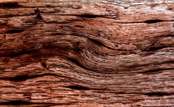 Beautiful Wood Grain Wood Background Wood Grain Pattern Texture Background — Stock Photo, Image