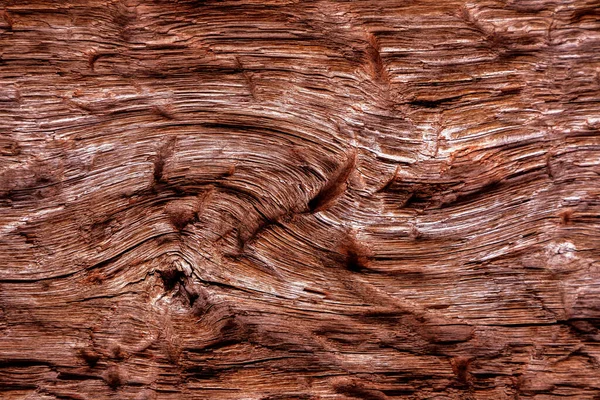 Beautiful wood grain. Wood background. Wood grain pattern texture background