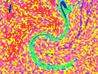 Dalgalı çizgiler. Soyut çizgiler. Doku arka planı. düzensiz desen. Şık modern. Pop sanat. Nokta etkisi. Ritmik gürültü parçacıkları. Paket için desen. Renkli vuruşlu duvar kağıdı.