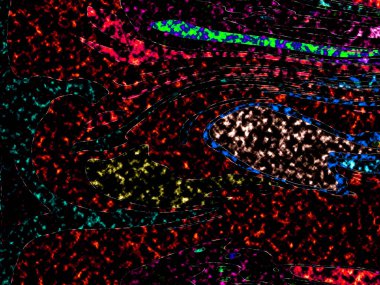Dalgalı çizgiler. Soyut çizgiler. Doku arka planı. düzensiz desen. Şık modern. Pop sanat. Nokta etkisi. Ritmik gürültü parçacıkları. Paket için desen. Renkli vuruşlu duvar kağıdı.