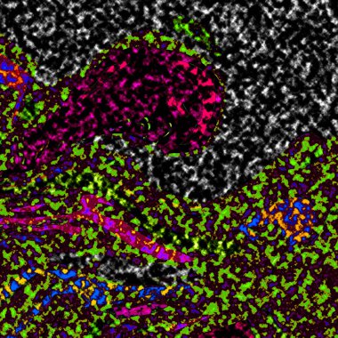 Dalgalı çizgiler. Soyut çizgiler. Doku arka planı. düzensiz desen. Şık modern. Pop sanat. Nokta etkisi. Ritmik gürültü parçacıkları. Paket için desen. Renkli vuruşlu duvar kağıdı.