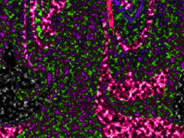 Dalgalı çizgiler. Soyut çizgiler. Doku arka planı. düzensiz desen. Şık modern. Pop sanat. Nokta etkisi. Ritmik gürültü parçacıkları. Paket için desen. Renkli vuruşlu duvar kağıdı.