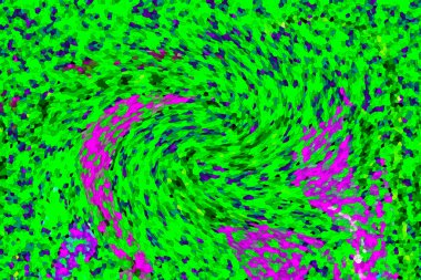 Modern tasarım çizimi. Çizgi ve renk bloğu geometrik şekiller. Pop sanat