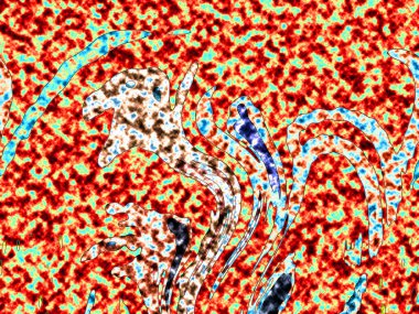 Modern tasarım çizimi. Çizgi ve renk bloğu geometrik şekiller. Pop sanat