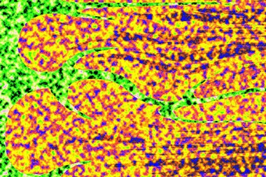 Modern tasarım çizimi. Çizgi ve renk bloğu geometrik şekiller. Pop sanat