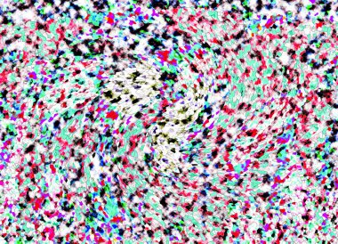 Elle çizilmiş dokuları olan yaratıcı, pürüzsüz desen. Soyut arkaplan. Puantiyeli desen. komik çizimler, noktalar, neşe, parti, çocuksu, renkli