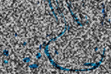 Modern tasarım çizimi. Çizgi ve renk bloğu geometrik şekiller. Pop sanat