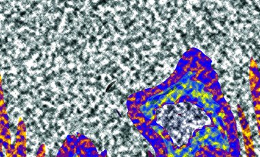 Modern tasarım çizimi. Çizgi ve renk bloğu geometrik şekiller. Pop sanat