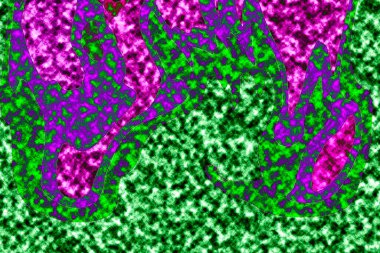 Modern tasarım çizimi. Çizgi ve renk bloğu geometrik şekiller. Pop sanat