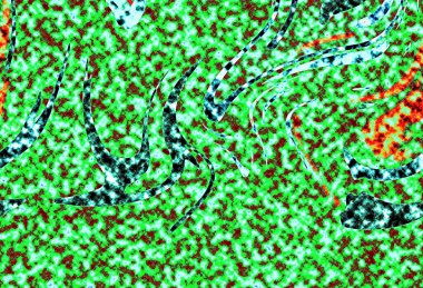 Modern tasarım çizimi. Çizgi ve renk bloğu geometrik şekiller. Pop sanat