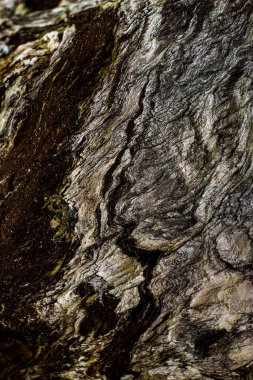 Natural ecology, stone, rust, texture, background, abstract, plain stone, rock, building material, shape, solid, marble, granite, sea stone, wall, floor, stone wall, color, nature, simplicity