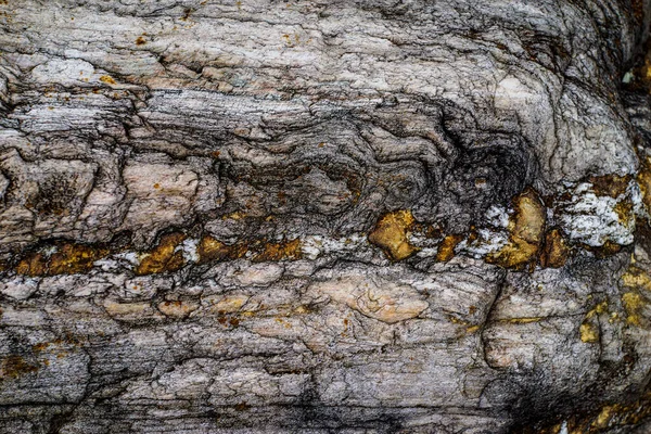 Natural Ecology Stone Rust Texture Background Abstract Plain Stone Rock — ストック写真