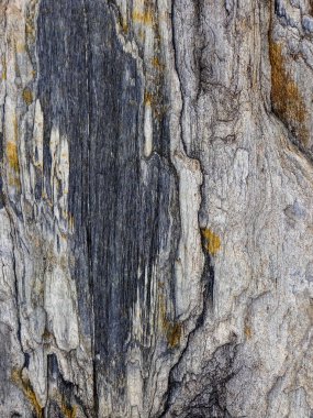 Natural ecology, stone, rust, texture, background, abstract, plain stone, rock, building material, shape, solid, marble, granite, sea stone, wall, floor, stone wall, color, nature, simplicity