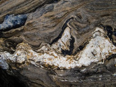 Natural ecology, stone, rust, texture, background, abstract, plain stone, rock, building material, shape, solid, marble, granite, sea stone, wall, floor, stone wall, color, nature, simplicity