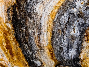 Natural ecology, stone, rust, texture, background, abstract, plain stone, rock, building material, shape, solid, marble, granite, sea stone, wall, floor, stone wall, color, nature, simplicity