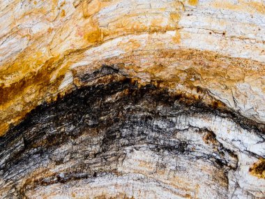 Natural ecology, stone, rust, texture, background, abstract, plain stone, rock, building material, shape, solid, marble, granite, sea stone, wall, floor, stone wall, color, nature, simplicity