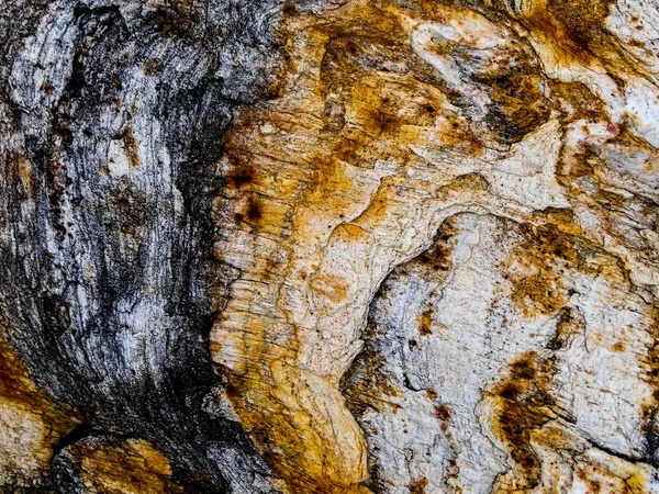 Natural ecology, stone, rust, texture, background, abstract, plain stone, rock, building material, shape, solid, marble, granite, sea stone, wall, floor, stone wall, color, nature, simplicity