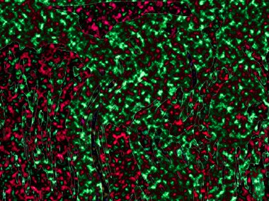 Renkli basit arka plan, dalgalı etkisi. Etkisi noktalarla. Ritmik ses parçacıklar. Tahıl doku. Renkli darbeleri ile duvar kağıdı. Duvar iç tasarım, lockscreen, paket için desen