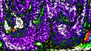 Modern tasarım çizimi. Çizgi ve renk bloğu geometrik şekiller. Pop sanat