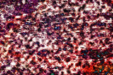 Natural ecology, stone, rust, texture, background, abstract, plain stone, rock, building material, shape, solid, marble, granite, sea stone, wall, floor, stone wall, color, nature, simplicity