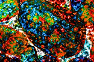 Natural ecology, stone, rust, texture, background, abstract, plain stone, rock, building material, shape, solid, marble, granite, sea stone, wall, floor, stone wall, color, nature, simplicity