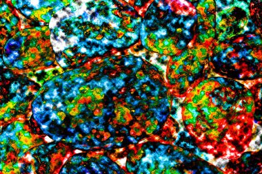 Natural ecology, stone, rust, texture, background, abstract, plain stone, rock, building material, shape, solid, marble, granite, sea stone, wall, floor, stone wall, color, nature, simplicity