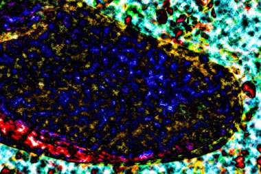 Natural ecology, stone, rust, texture, background, abstract, plain stone, rock, building material, shape, solid, marble, granite, sea stone, wall, floor, stone wall, color, nature, simplicity