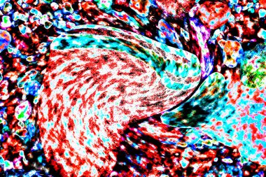 Natural ecology, stone, rust, texture, background, abstract, plain stone, rock, building material, shape, solid, marble, granite, sea stone, wall, floor, stone wall, color, nature, simplicity