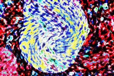 Natural ecology, stone, rust, texture, background, abstract, plain stone, rock, building material, shape, solid, marble, granite, sea stone, wall, floor, stone wall, color, nature, simplicity