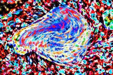 Natural ecology, stone, rust, texture, background, abstract, plain stone, rock, building material, shape, solid, marble, granite, sea stone, wall, floor, stone wall, color, nature, simplicity