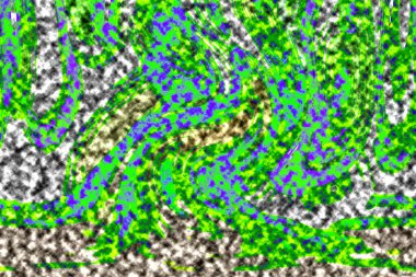 Modern tasarım çizimi. Çizgi ve renk bloğu geometrik şekiller. Pop sanat