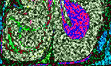 Modern tasarım çizimi. Çizgi ve renk bloğu geometrik şekiller. Pop sanat