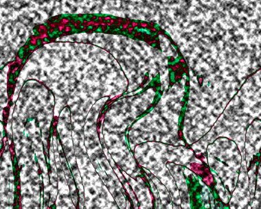 Modern tasarım çizimi. Çizgi ve renk bloğu geometrik şekiller. Pop sanat