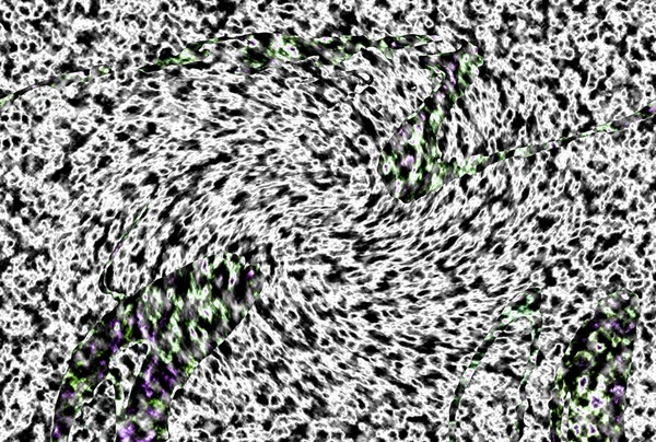 Modern tasarım çizimi. Çizgi ve renk bloğu geometrik şekiller. Pop sanat
