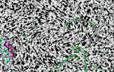 Modern tasarım çizimi. Çizgi ve renk bloğu geometrik şekiller. Pop sanat