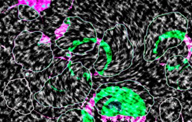 Modern tasarım çizimi. Çizgi ve renk bloğu geometrik şekiller. Pop sanat