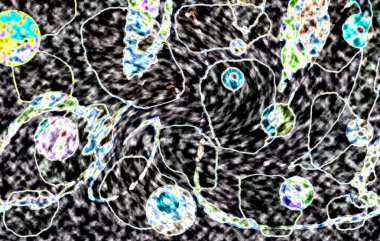 Modern tasarım çizimi. Çizgi ve renk bloğu geometrik şekiller. Pop sanat