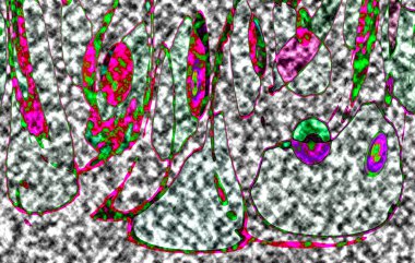 Modern tasarım çizimi. Çizgi ve renk bloğu geometrik şekiller. Pop sanat
