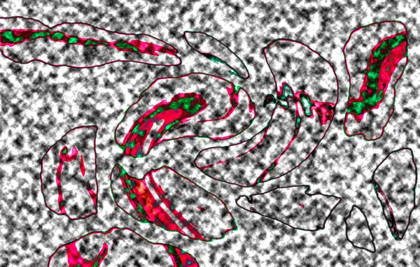 Modern tasarım çizimi. Çizgi ve renk bloğu geometrik şekiller. Pop sanat