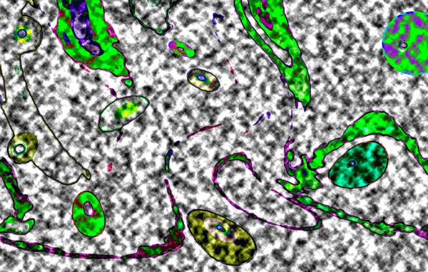 Modern tasarım çizimi. Çizgi ve renk bloğu geometrik şekiller. Pop sanat