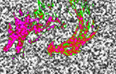 Modern tasarım çizimi. Çizgi ve renk bloğu geometrik şekiller. Pop sanat