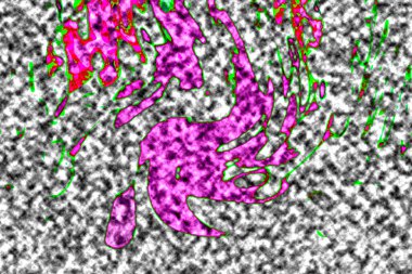 Modern tasarım çizimi. Çizgi ve renk bloğu geometrik şekiller. Pop sanat