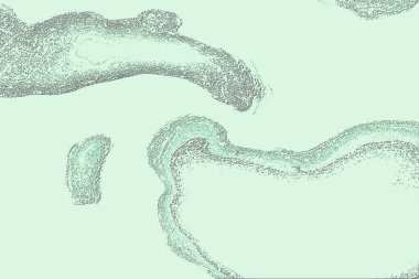 Seramik duvar ve döşemeler için doku arkaplanı. Banyo, mutfak kiremitleri. Duvar kağıdı..