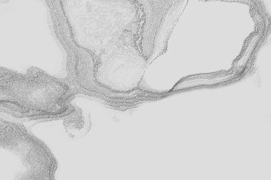 Seramik duvar ve döşemeler için doku arkaplanı. Banyo, mutfak kiremitleri. Duvar kağıdı..